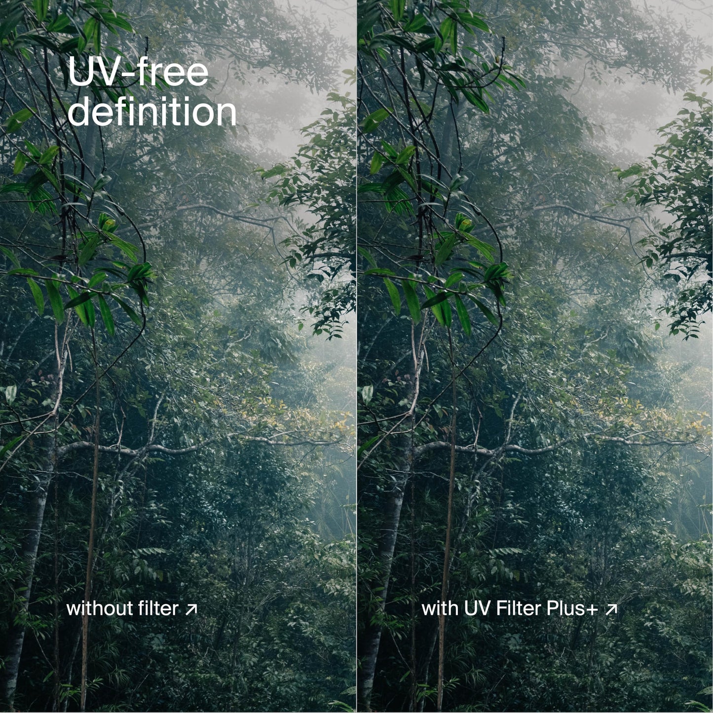 Urth UV Lens Filter (Plus+) — Ultra-Slim, 30-Layer Nano-Coated UV Camera Lens Protection ***NOTE - PLEASE CHOOSE FILTER SIZE AFTER CLICKING THROUGH TO THE URTH AMAZON STORE