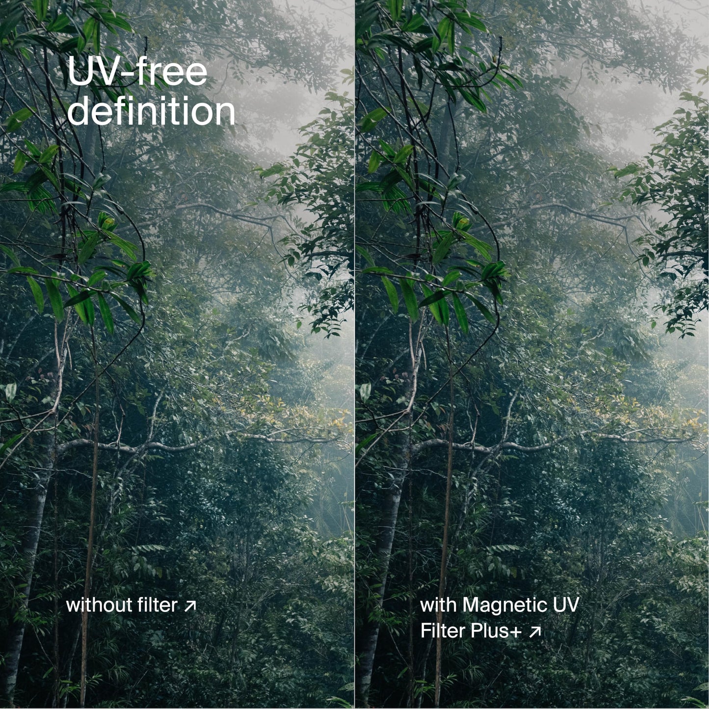 Urth Magnetic UV Lens Filter (Plus+) - Ultra-Slim, 30-Layer Nano-Coated UV Camera Lens Protection ***NOTE - PLEASE CHOOSE FILTER SIZE AFTER CLICKING THROUGH TO THE URTH AMAZON STORE