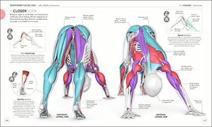 Science of Yoga: Understand the Anatomy and Physiology to Perfect your Practice