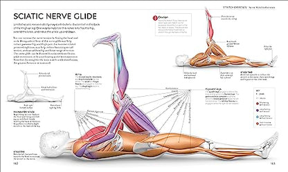 Science of Stretch: Reach Your Flexible Potential, Stay Active, Maximize Mobility