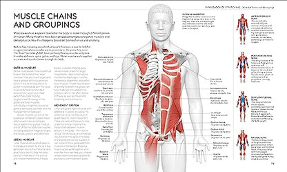 Science of Stretch: Reach Your Flexible Potential, Stay Active, Maximize Mobility