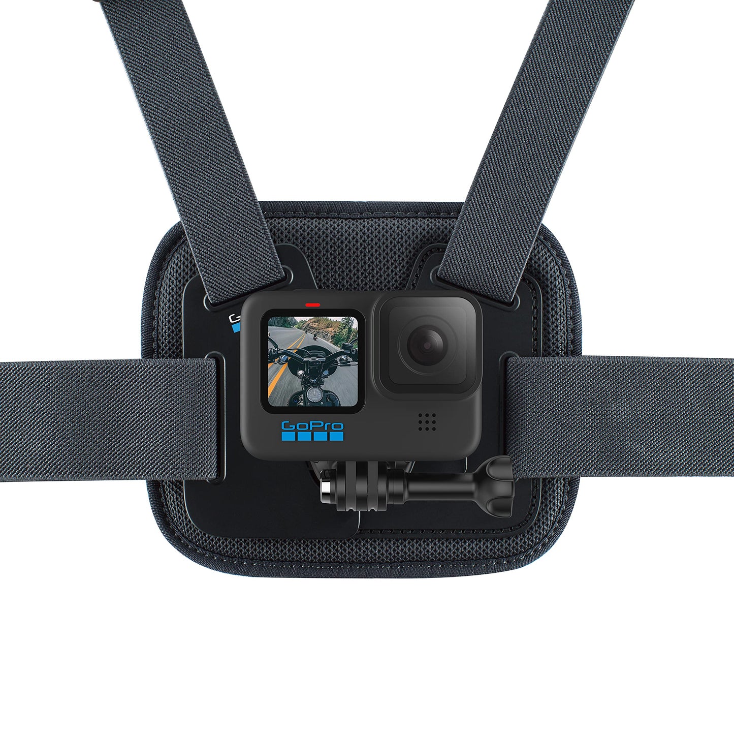 GoPro Official Accessory-Compatible with Cameras, Chesty V2 - Performance Chest Mount